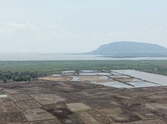 Land Investment