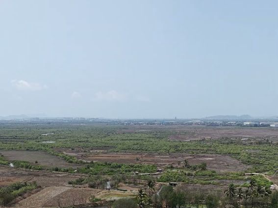 Site View